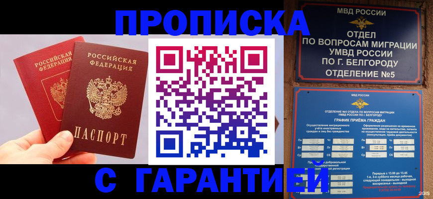 прописка 2025 в Обояни